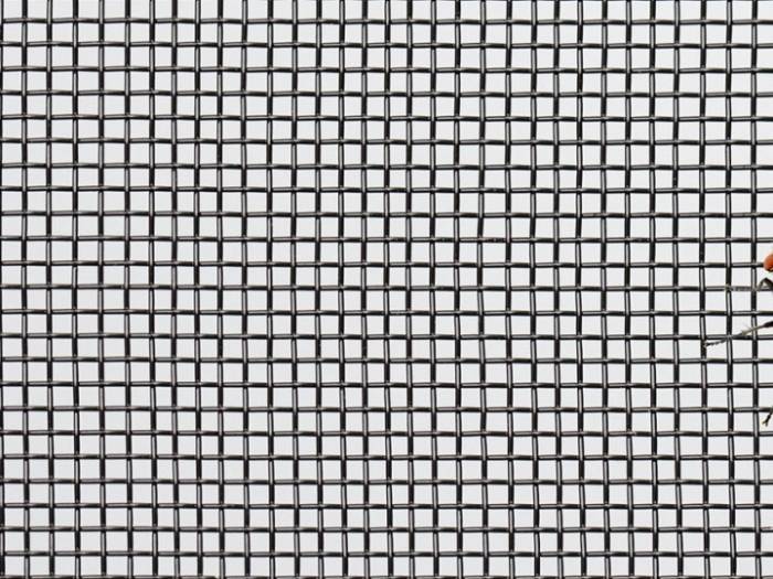 一片合适的金刚网防虫网。