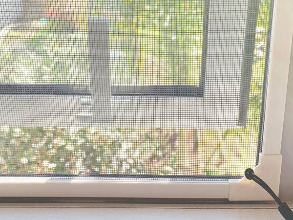 安装在窗户上的防虫网。